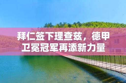 拜仁签下理查兹，德甲卫冕冠军再添新力量