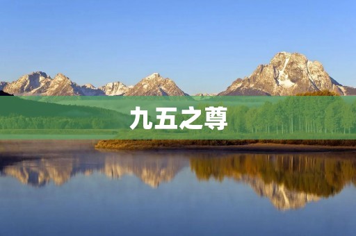 九五之尊：传承中华文化的珍贵遗产