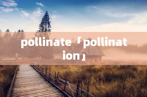 pollinate「pollination」