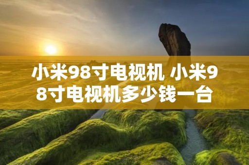 小米98寸电视机 小米98寸电视机多少钱一台 小米98寸电视机 小米98寸电视机多少钱一台