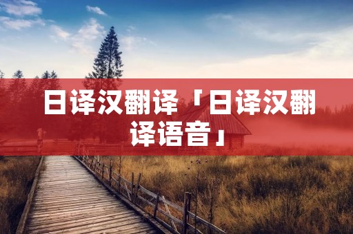 日译汉翻译「日译汉翻译语音」
