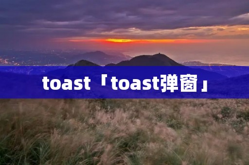 toast「toast弹窗」
