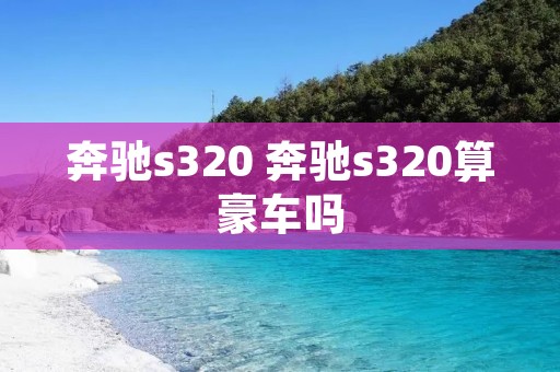 奔驰s320 奔驰s320算豪车吗