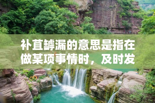 补苴罅漏的意思是指在做某项事情时，及时发现并解决其中的漏洞和不足之处，以保障任务的顺利完成和质量的提高。在实际生活和工作中，补苴罅漏是一种非常重要的能力，它可以帮助我们更好地发现问题和解决问题，提升自身的工作能力和综合素质。