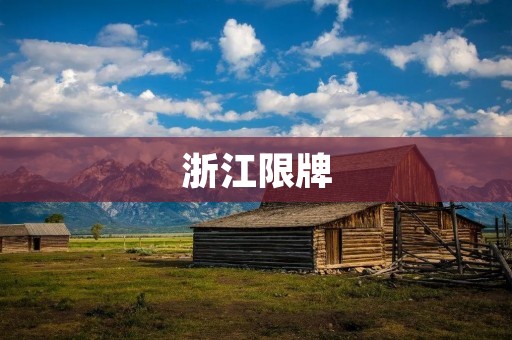 浙江限牌:政策解读与市场影响 浙江限牌:政策解读与市场影响