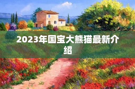 2023年国宝大熊猫最新介绍