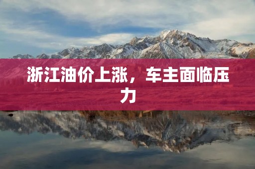 浙江油价上涨,车主面临压力 浙江油价上涨,车主面临压力
