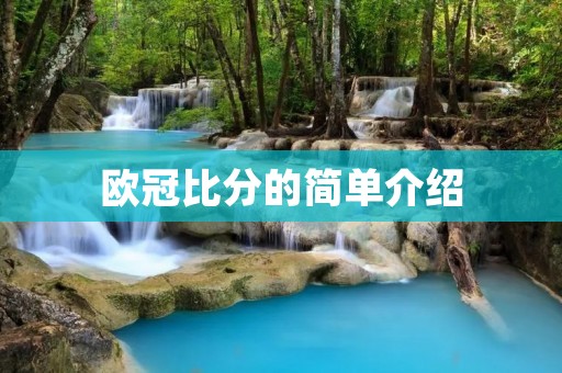 欧冠比分的简单介绍 欧冠比分的简单介绍