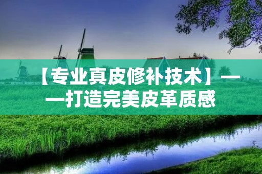 【专业真皮修补技术】——打造完美皮革质感 【专业真皮修补技术】——打造完美皮革质感