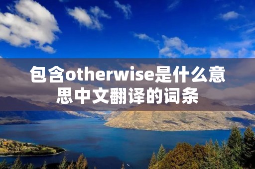 包含otherwise是什么意思中文翻译的词条