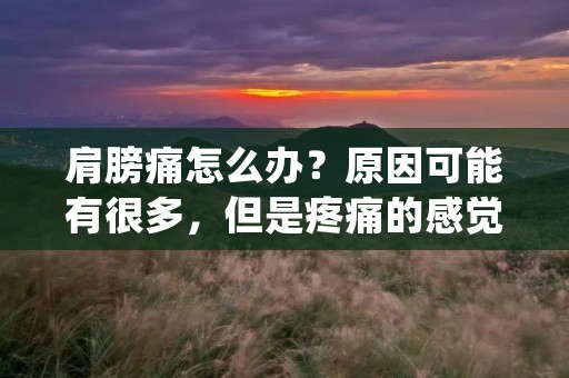 肩膀痛怎么办?原因可能有很多,但是疼痛的感觉却是一样的难受。在日常生活中,我们经常需要用到肩膀,比如扛重物、举起手臂、做家务等等,所以肩膀疼痛会影响我们的正常生活。本文将从肩膀疼痛的原因、预防和治疗方面进行详细介绍。 肩膀痛怎么办?原因可能有很多,但是疼痛的感觉却是一样的难受。在日常生活中,我们经常需要用到肩膀,比如扛重物、举起手臂、做家务等等,所以肩膀疼痛会影响我们的正常生活。本文将从肩膀疼痛的原因、预防和治疗方面进行详细介绍。