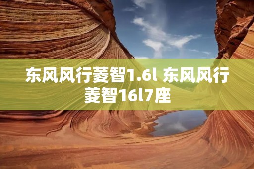 东风风行菱智1.6l 东风风行菱智16l7座