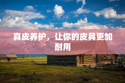 真皮养护，让你的皮具更加耐用