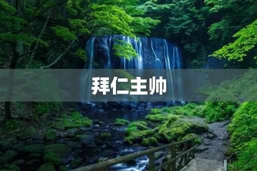 拜仁主帅：一位成功的领袖