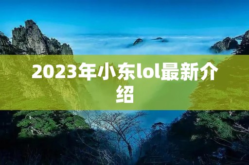 2023年小东lol最新介绍