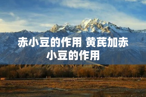 赤小豆的作用 黄芪加赤小豆的作用