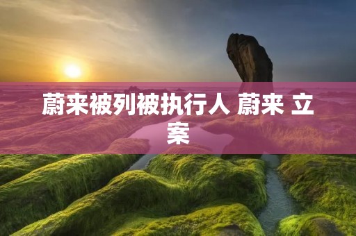 蔚来被列被执行人 蔚来 立案