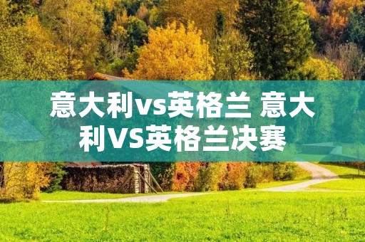 意大利vs英格兰 意大利VS英格兰决赛