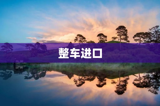 整车进口：新时代下的汽车市场