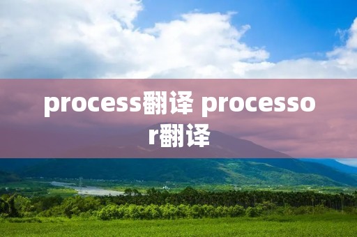 process翻译 processor翻译