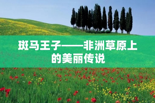 斑马王子——非洲草原上的美丽传说