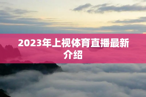 2023年上视体育直播最新介绍
