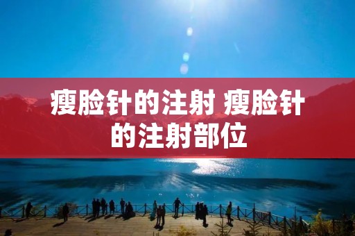 瘦脸针的注射 瘦脸针的注射部位