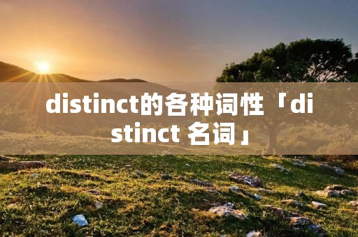 distinct的各种词性「distinct 名词」