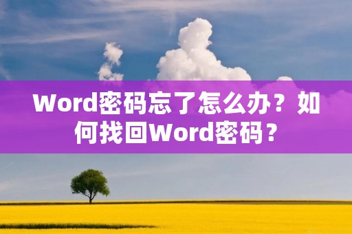 Word密码忘了怎么办?如何找回Word密码?