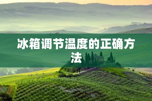 冰箱调节温度的正确方法 冰箱调节温度的正确方法
