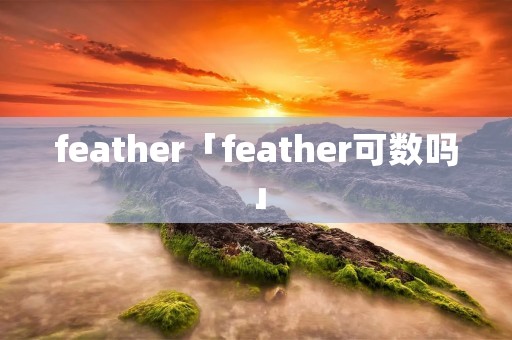 feather「feather可数吗」