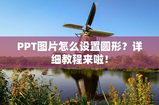PPT图片怎么设置圆形?详细教程来啦!