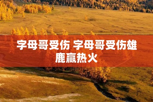 字母哥受伤 字母哥受伤雄鹿赢热火