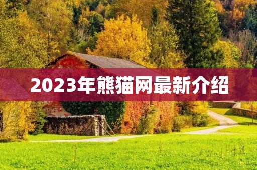 2023年熊猫网最新介绍