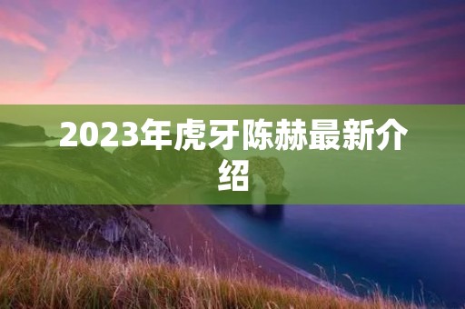 2023年虎牙陈赫最新介绍