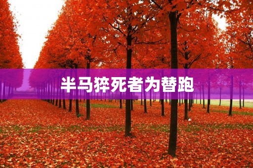 半马猝死者为替跑：背后的替跑文化问题
