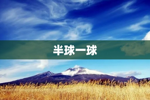 半球一球:足球盘口的玄妙 半球一球:足球盘口的玄妙