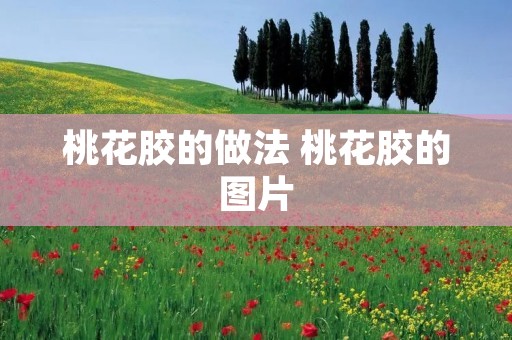 桃花胶的做法 桃花胶的图片 桃花胶的做法 桃花胶的图片