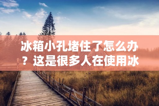 冰箱小孔堵住了怎么办?这是很多人在使用冰箱时遇到的问题。小孔堵住了会导致冰箱的散热不良,影响冰箱的使用寿命,还可能导致食物变质。那么,当冰箱小孔堵住了怎么办呢? 冰箱小孔堵住了怎么办?这是很多人在使用冰箱时遇到的问题。小孔堵住了会导致冰箱的散热不良,影响冰箱的使用寿命,还可能导致食物变质。那么,当冰箱小孔堵住了怎么办呢?