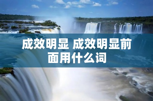 成效明显 成效明显前面用什么词