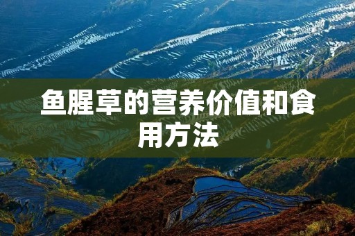 鱼腥草的营养价值和食用方法