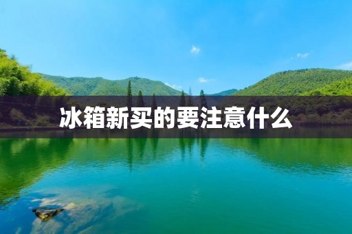 冰箱新买的要注意什么