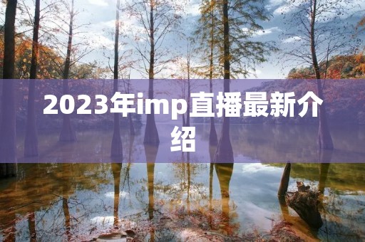 2023年imp直播最新介绍
