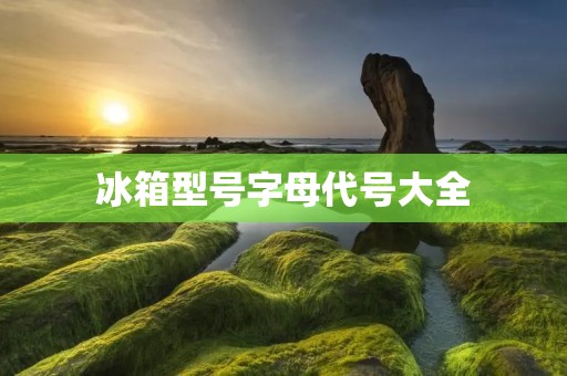 冰箱型号字母代号大全 冰箱型号字母代号大全