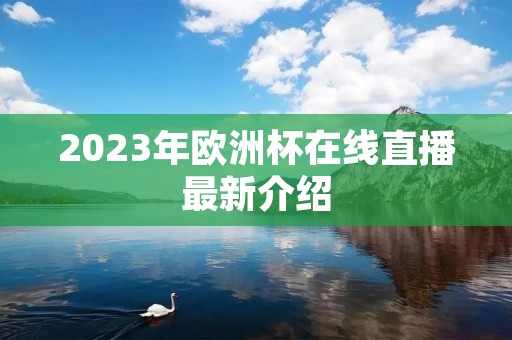 2023年欧洲杯在线直播最新介绍 2023年欧洲杯在线直播最新介绍