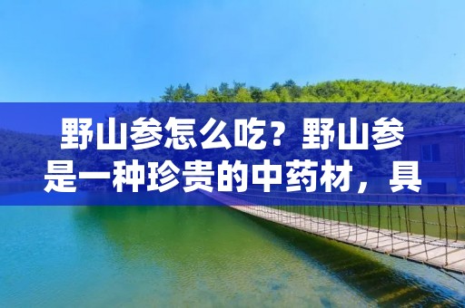 野山参怎么吃?野山参是一种珍贵的中药材,具有滋补强身、提高免疫力、延缓衰老等多种功效。野山参的食用方法有很多种,但是需要注意的是野山参不能乱吃,否则会有一定的副作用。下面我们来详细介绍野山参的吃法。 野山参怎么吃?野山参是一种珍贵的中药材,具有滋补强身、提高免疫力、延缓衰老等多种功效。野山参的食用方法有很多种,但是需要注意的是野山参不能乱吃,否则会有一定的副作用。下面我们来详细介绍野山参的吃法。