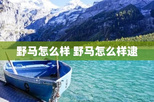 野马怎么样 野马怎么样逮
