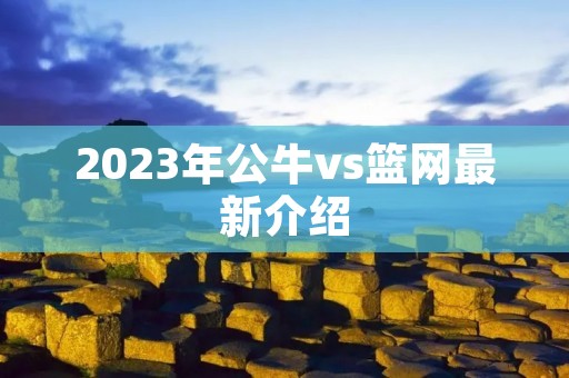 2023年公牛vs篮网最新介绍