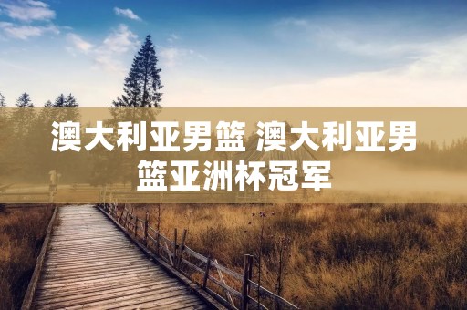澳大利亚男篮 澳大利亚男篮亚洲杯冠军