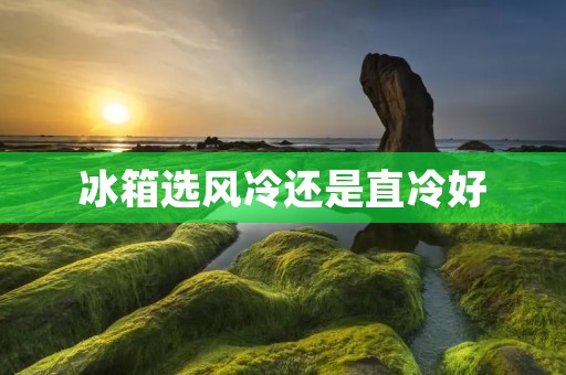 冰箱选风冷还是直冷好 冰箱选风冷还是直冷好